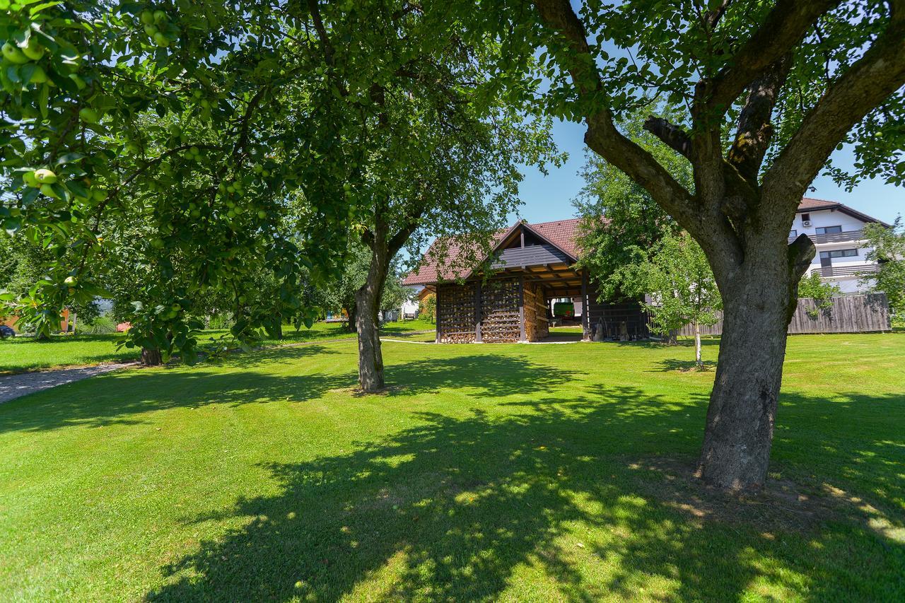 Hotel Zupancicev Hram Dragatuš Esterno foto